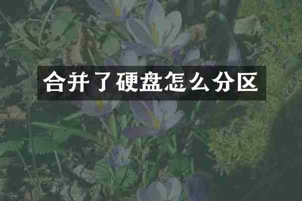 合并了硬盘怎么分区