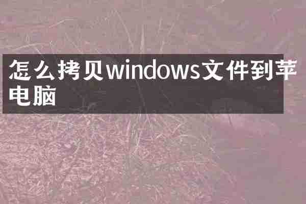 怎么拷贝windows文件到苹果电脑
