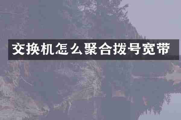 交换机怎么聚合拨号宽带