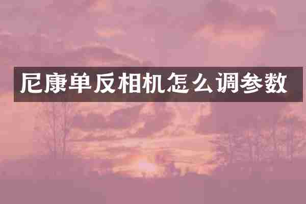 尼康单反相机怎么调参数