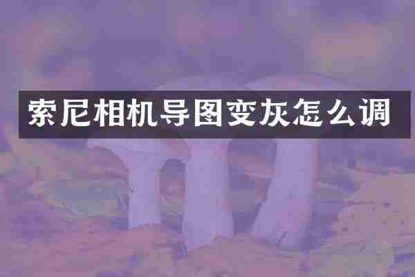 相机导图变灰怎么调