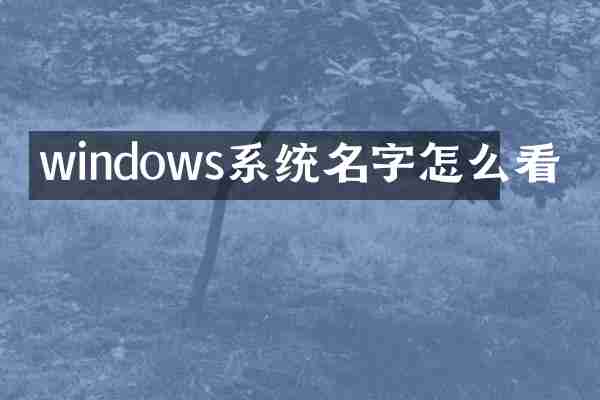 windows系统名字怎么看