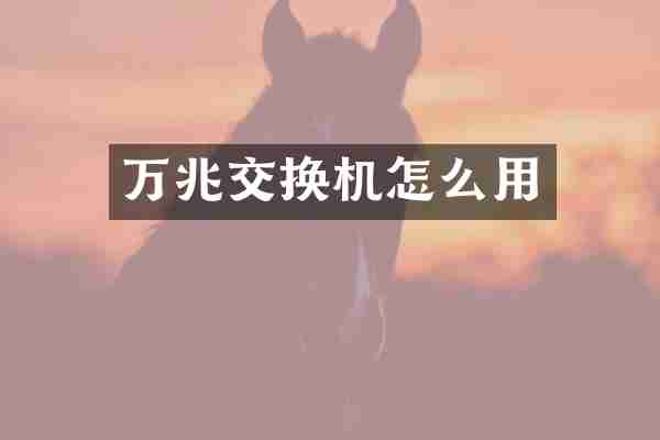 万兆交换机怎么用