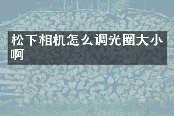 相机怎么调光圈大小啊