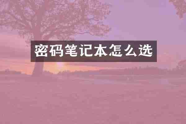 密码笔记本怎么选
