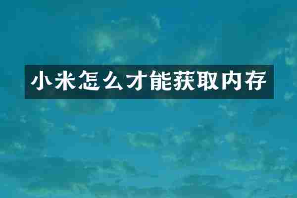 小米怎么才能获取内存