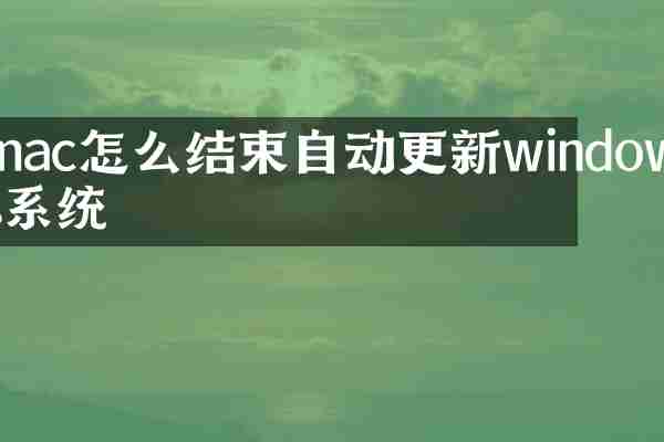 mac怎么结束自动更新windows系统