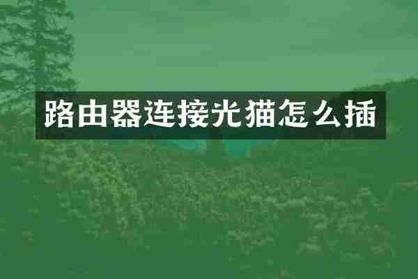 路由器连接光猫怎么插