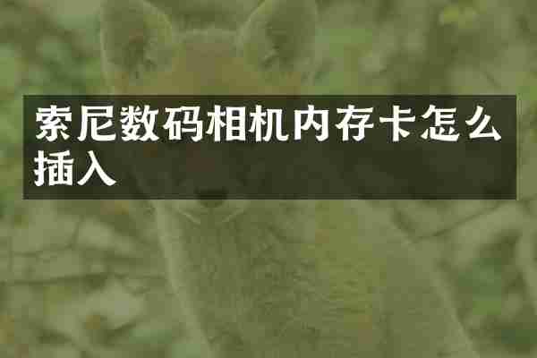 数码相机内存卡怎么插入