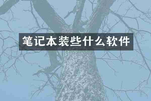 笔记本装些什么软件