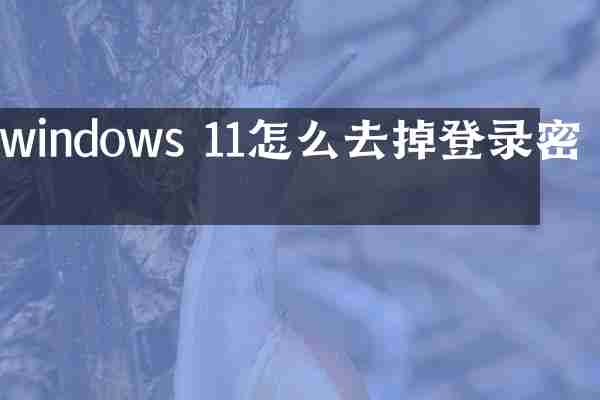 windows 11怎么去掉登录密码