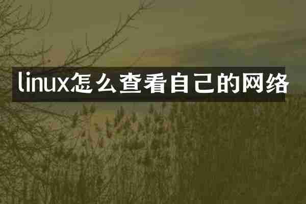 linux怎么查看自己的网络
