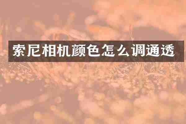 相机颜色怎么调通透