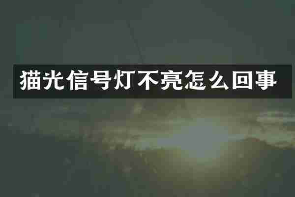 猫光信号灯不亮怎么回事