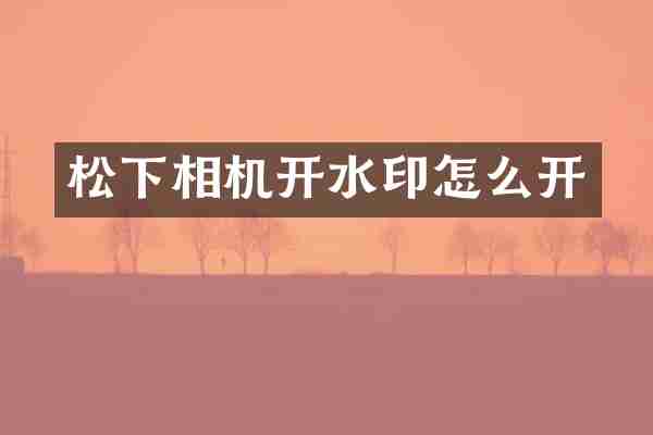 松下相机开水印怎么开