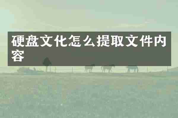 硬盘文化怎么提取文件内容