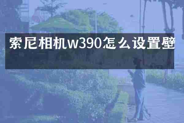 相机w390怎么设置壁纸