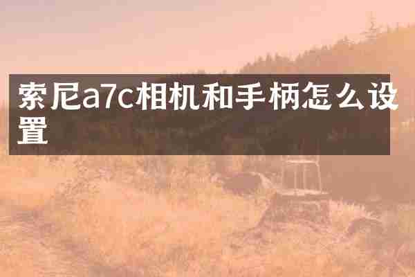 a7c相机和手柄怎么设置