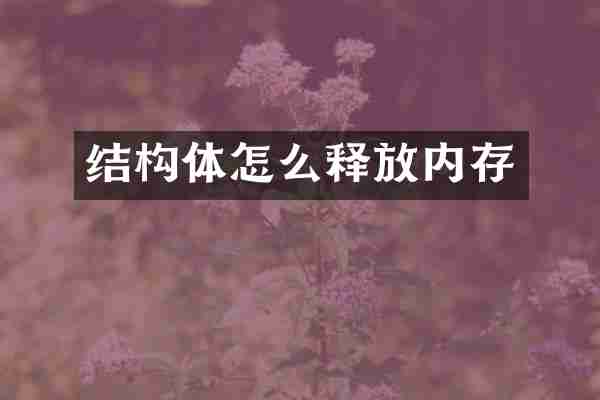 结构体怎么释放内存