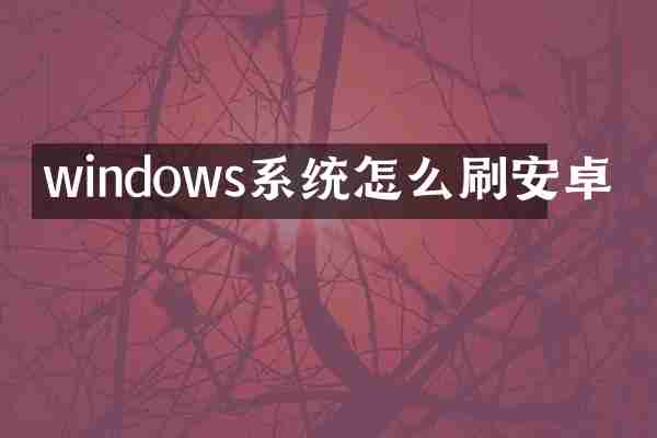 windows系统怎么刷安卓