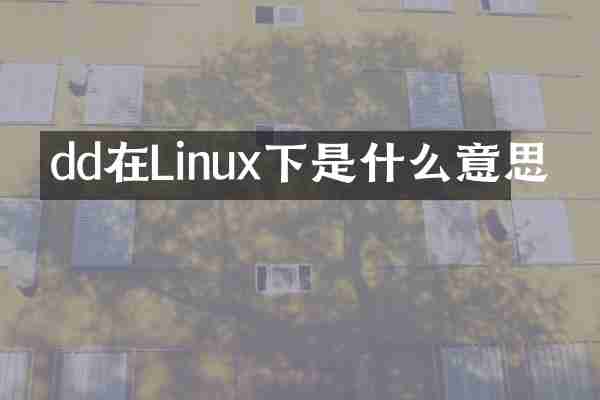 dd在Linux下是什么意思