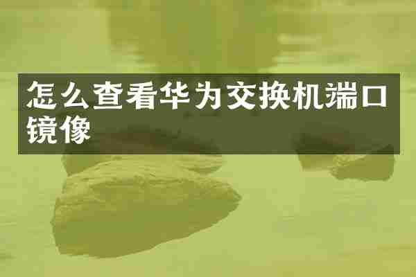 怎么查看华为交换机端口镜像