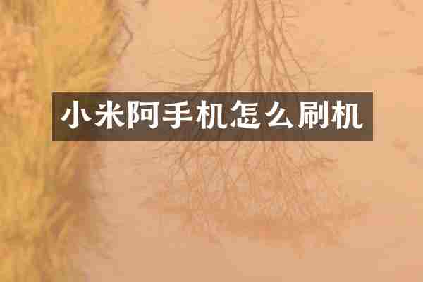 小米阿手机怎么刷机