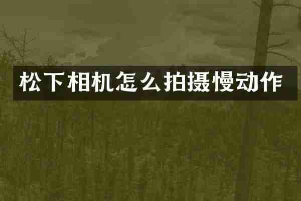 相机怎么拍摄慢动作