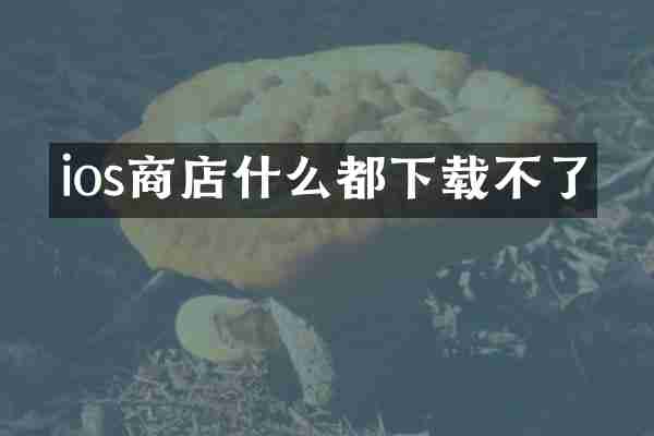 ios商店什么都下载不了