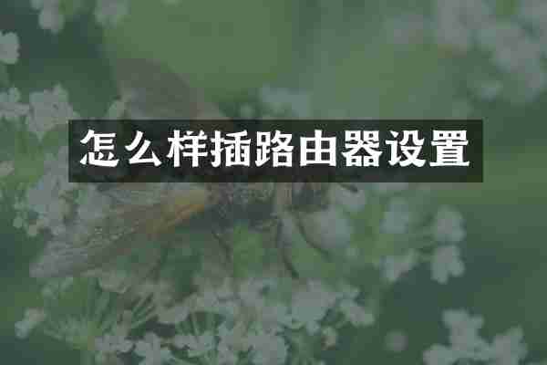 怎么样插路由器设置