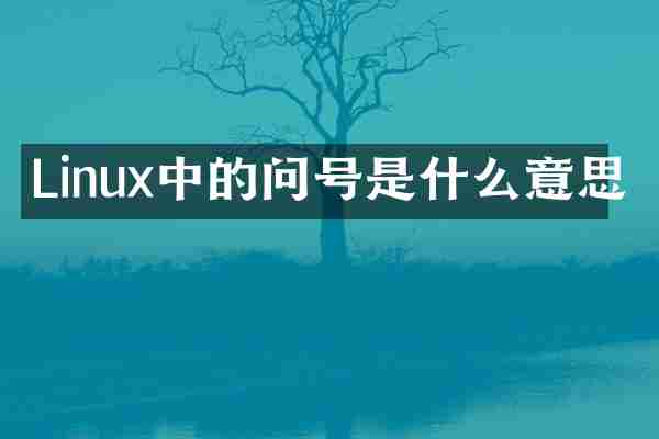 Linux中的问号是什么意思