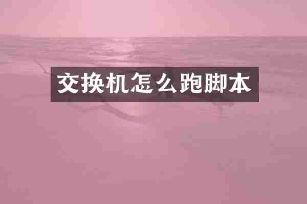 交换机怎么跑脚本