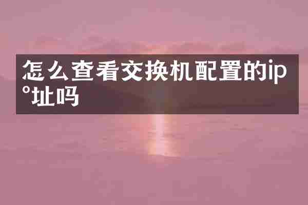 怎么查看交换机配置的ip地址吗