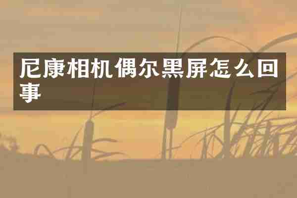 尼康相机偶尔黑屏怎么回事