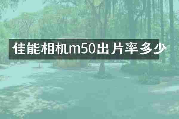 佳能相机m50出片率多少