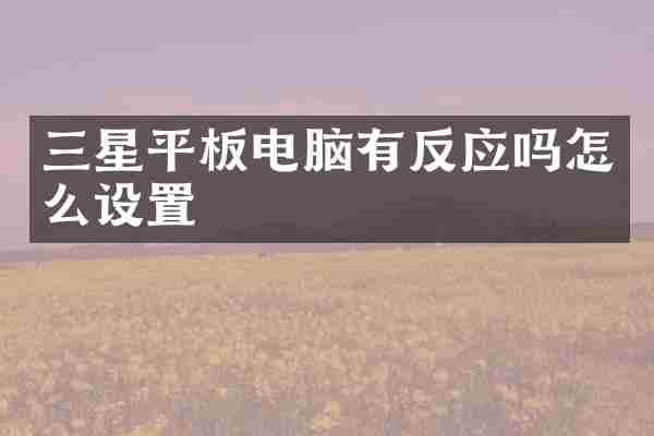 三星平板电脑有反应吗怎么设置