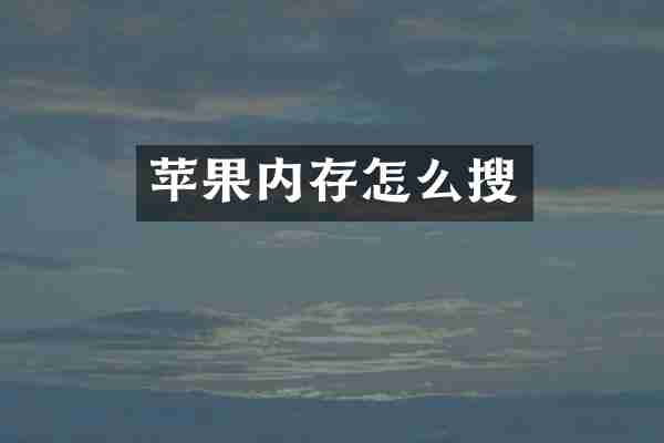 苹果内存怎么搜