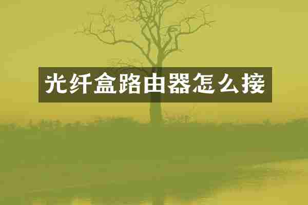 光纤盒路由器怎么接