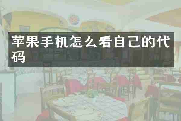 苹果手机怎么看自己的代码