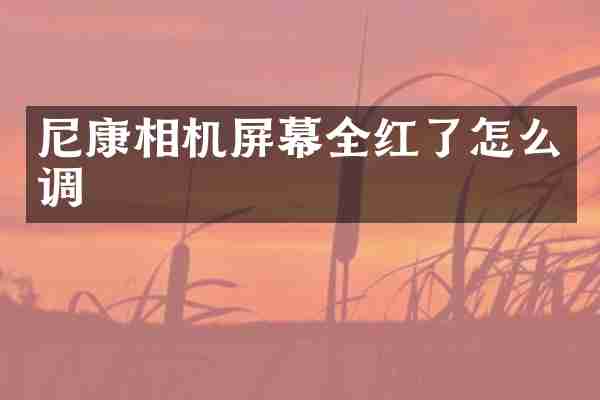 尼康相机屏幕全红了怎么调