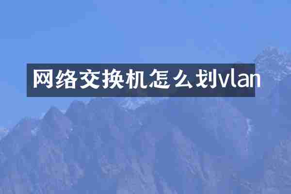 网络交换机怎么划vlan