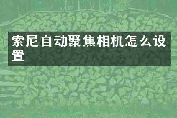 索尼自动聚焦相机怎么设置