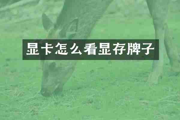 显卡怎么看显存牌子