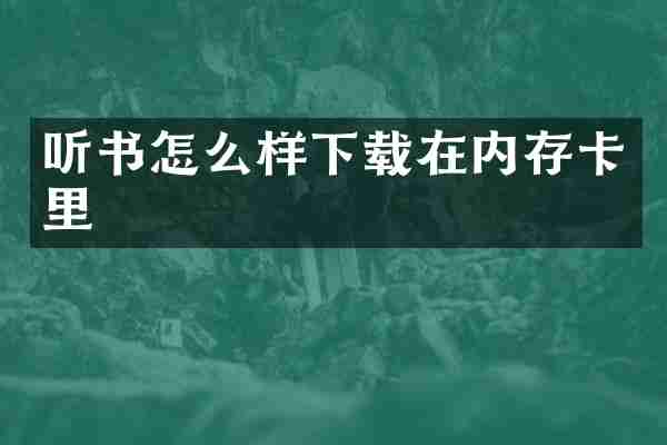 听书怎么样下载在内存卡里