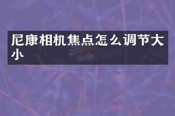 尼康相机焦点怎么调节大小
