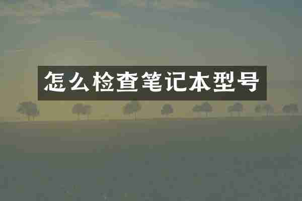 怎么检查笔记本型号