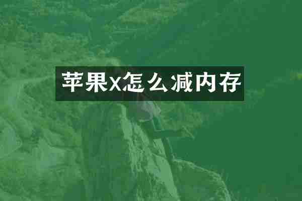 苹果x怎么减内存