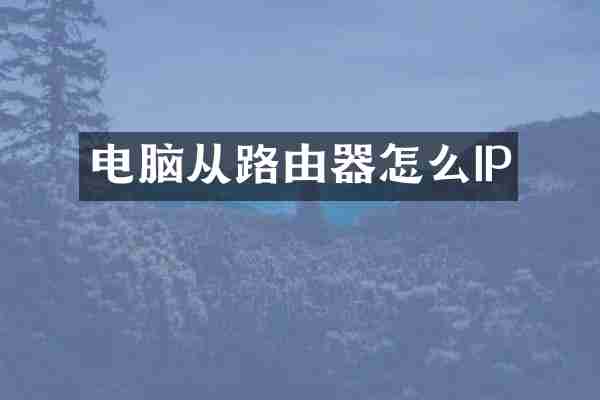 电脑从路由器怎么IP
