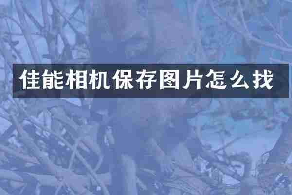 佳能相机保存图片怎么找