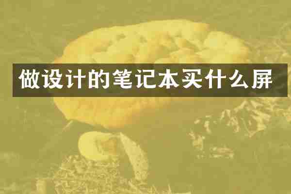 做设计的笔记本买什么屏